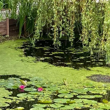 Haus Katarina Quarto em Acomodações Particulares *