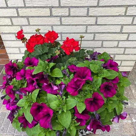 Quarto em Acomodações Particulares Haus Katarina