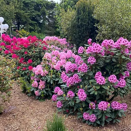 Quarto em Acomodações Particulares Haus Katarina Wiesmoor