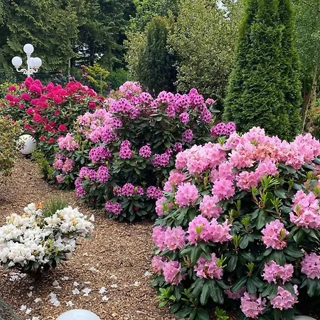 Quarto em Acomodações Particulares Haus Katarina *