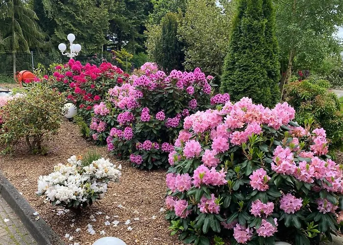 Homestay szállás Haus Katarina *